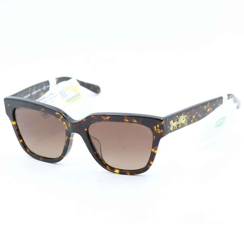 KINH-MAT-COACH-C-8262F-5120/T5(55CN)